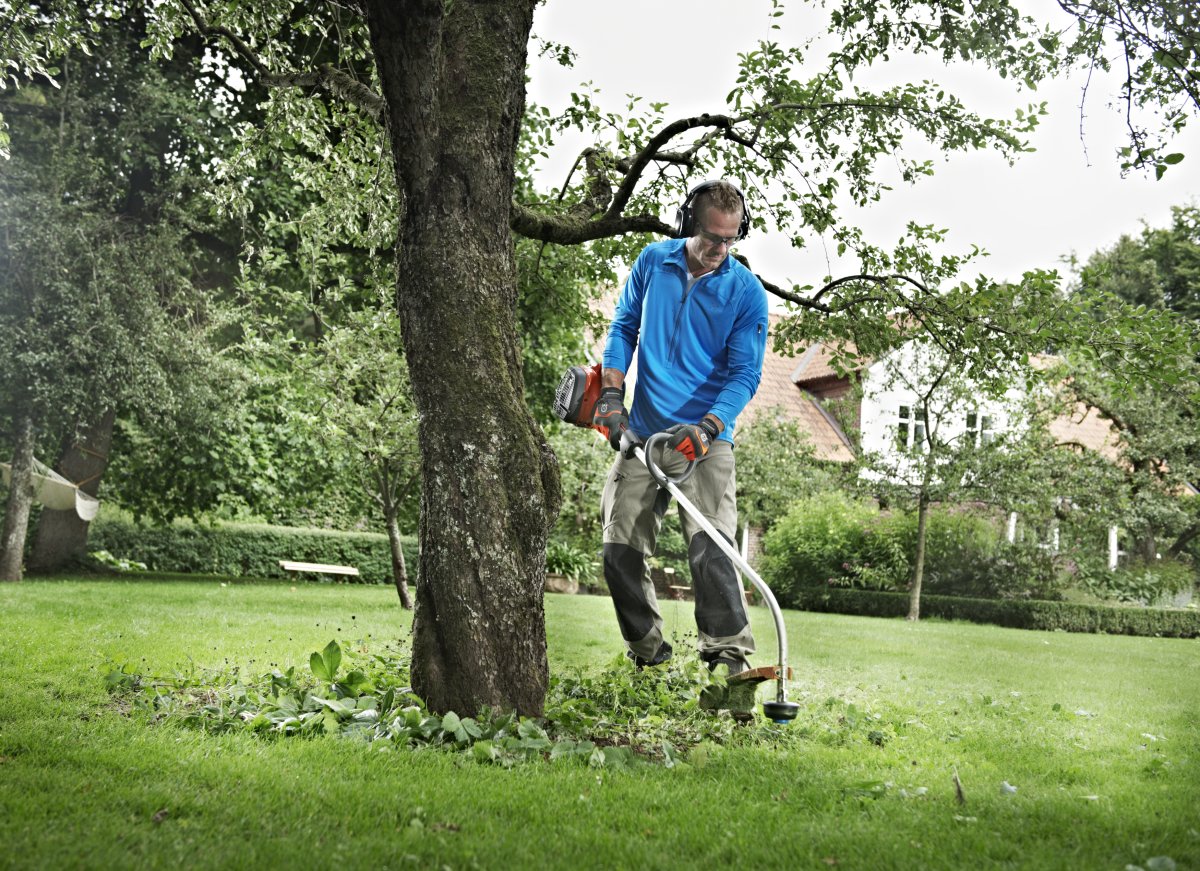 129C, T25-SIIMAPÄÄ