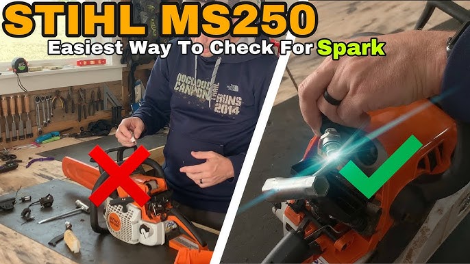 Stihl MS 250